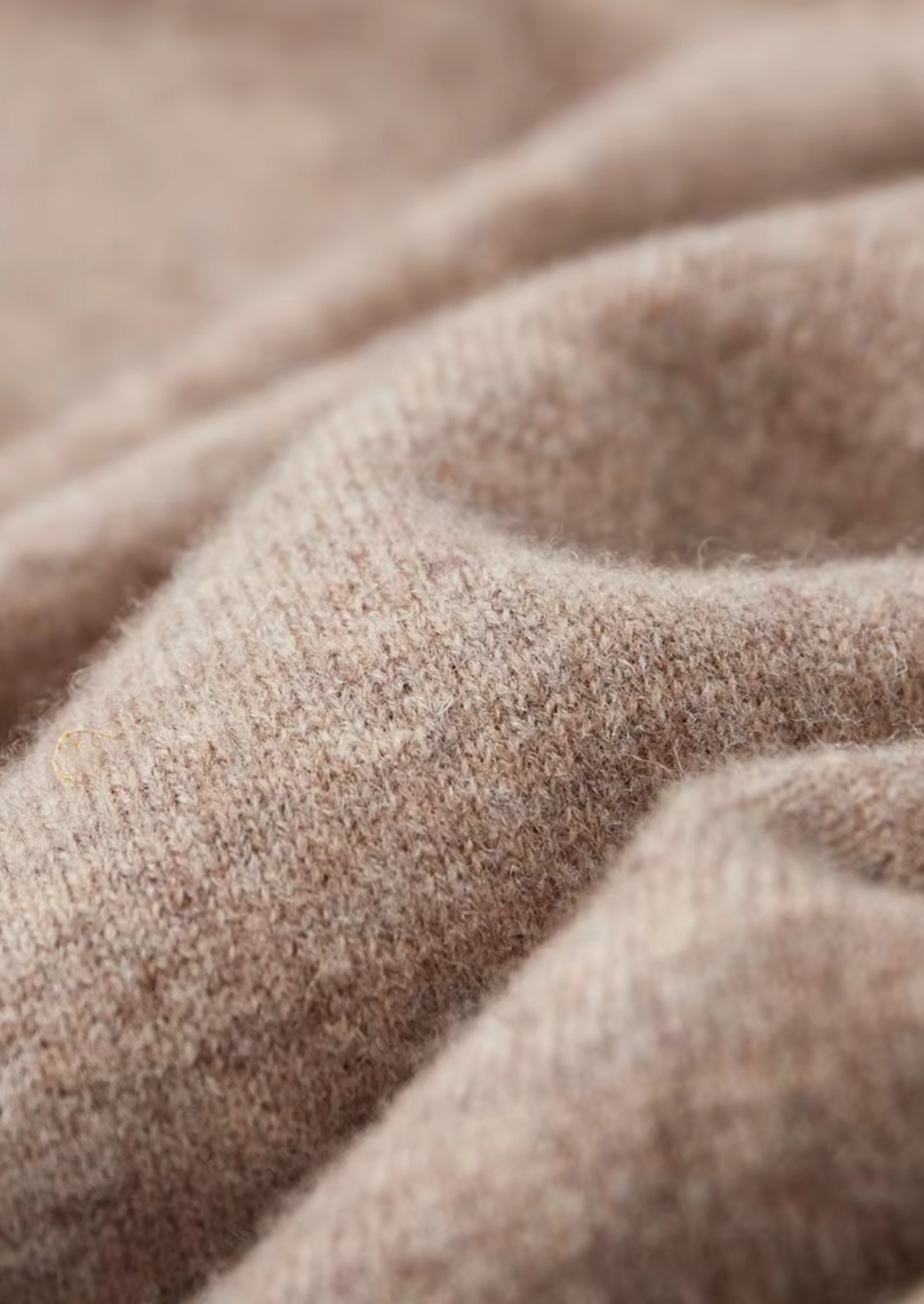 CAVALLO  WOOL LEISURE HOODIE